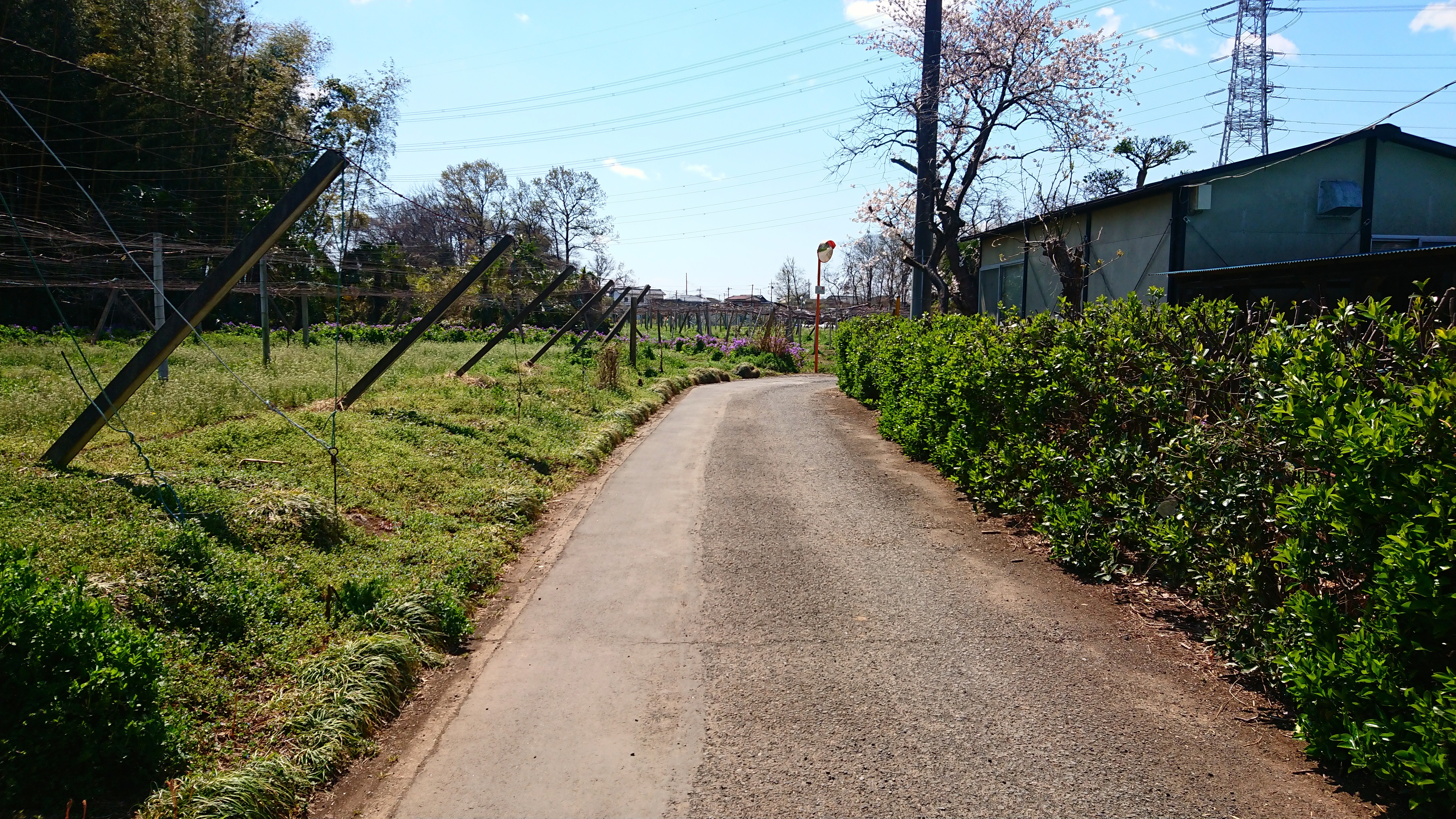 20190405_125430