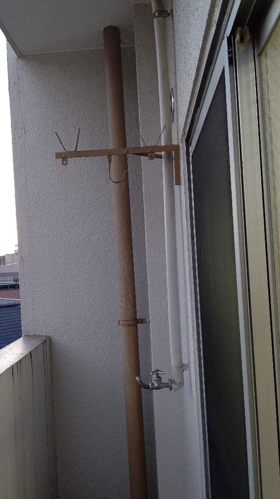 DSC_1400_copy_567x1008