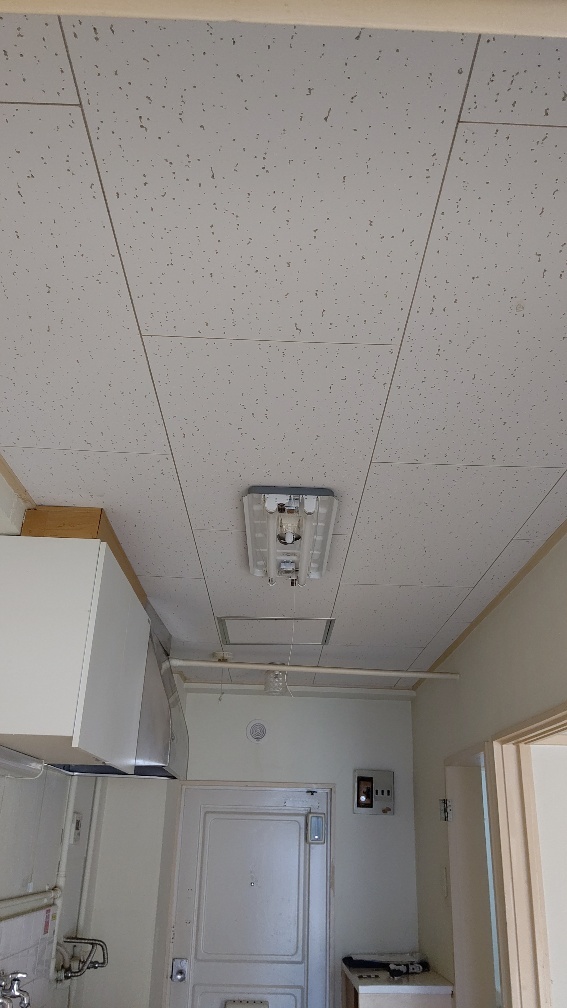 DSC_1451_copy_567x1008